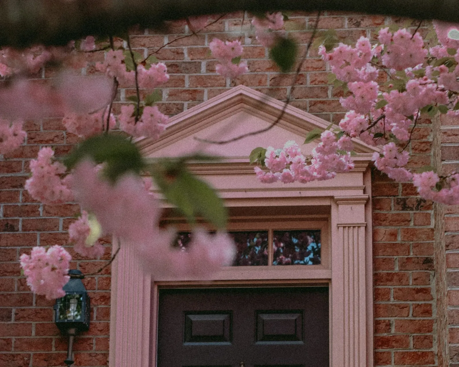 Appliance repair Fairfax, VA: brick townhouse doorway with spring blossoms in Fairfax, Virginia